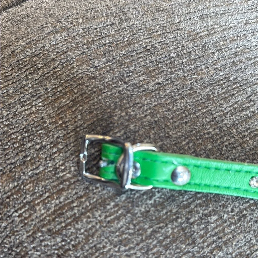 Green Studded Dog Collar, Size Small, rhinestones